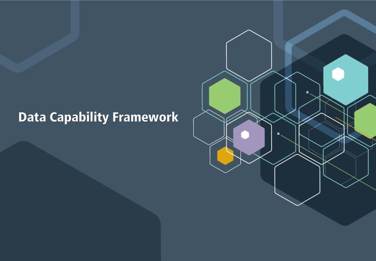 Grey branded box with the words Data Capability Framework