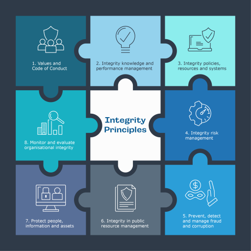 Puzzle diagram of the 8 integrity principles: . Descriptions of each principle is set out in the puzzle pieces.  Has illustrative icons for each principle.