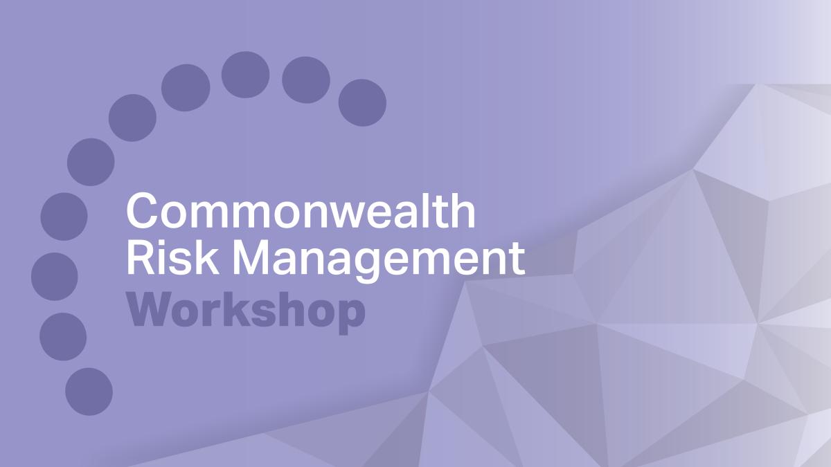 Embedding Risk Management into your Entity’s DNA | Australian Public ...