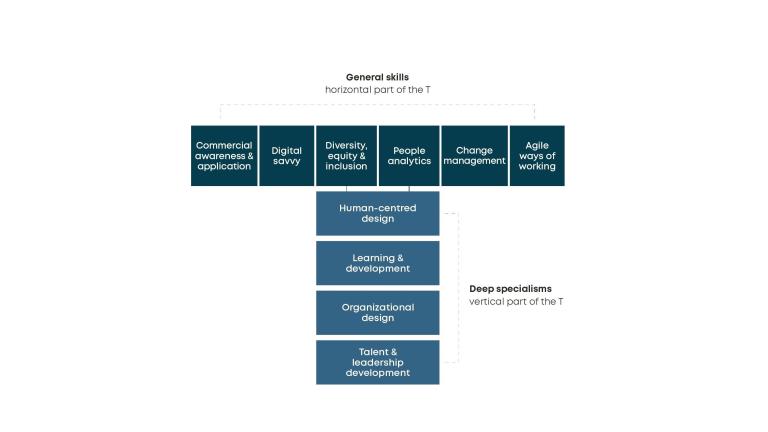 A box chart with the ‘broad’ knowledge areas along the top and the ‘deep’ knowledge areas listed below.