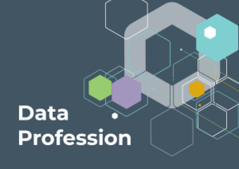 Data Profession