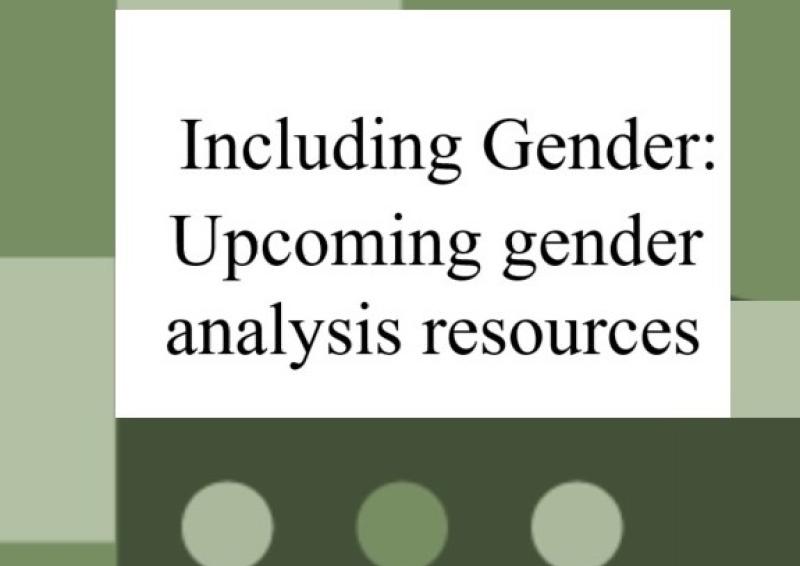 Document headline on block colour background, ‘Including Gender- upcoming gender analysis resources’.