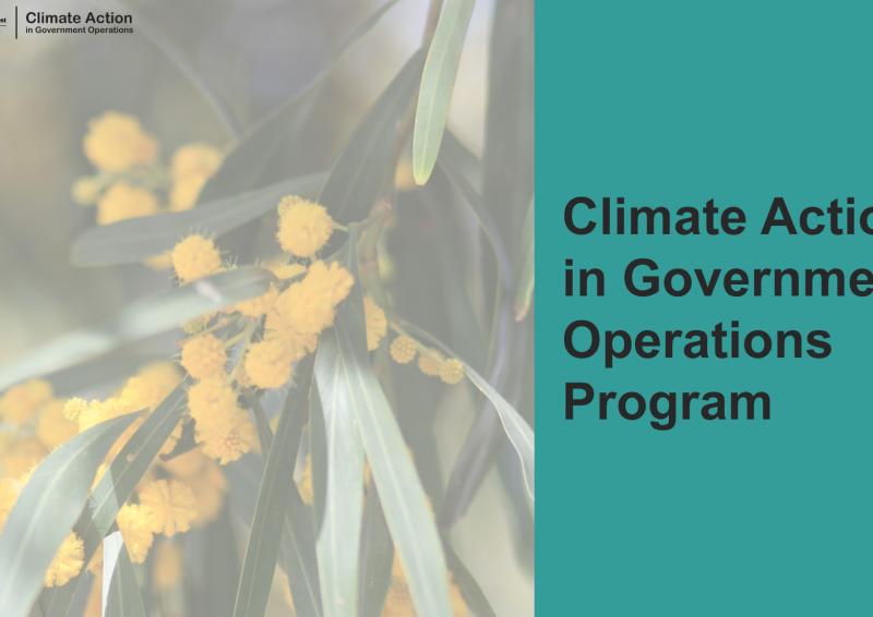 Aqua background with picture of a wattle branch and test, Climate Action in Government Operations Program