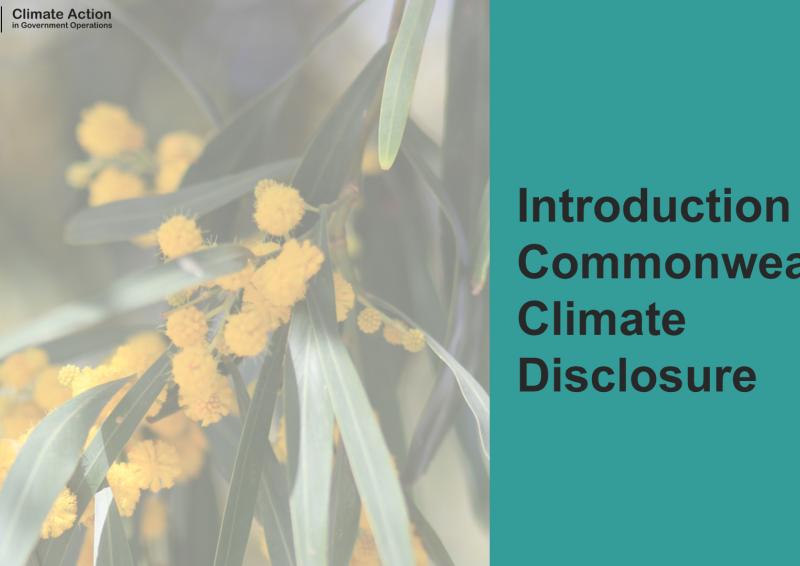 Teal background with wattle branch and text, Introduction to Commonwealth Climate Disclosure