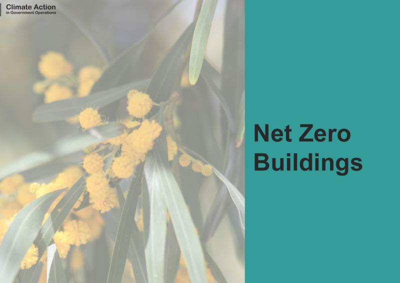 Aqua background with wattle branch and text, Net Zero Buildings