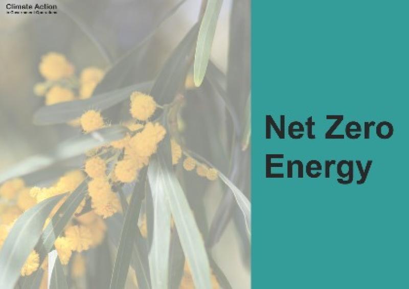 Teal background with wattle tree branch and text, Net Zero Energy