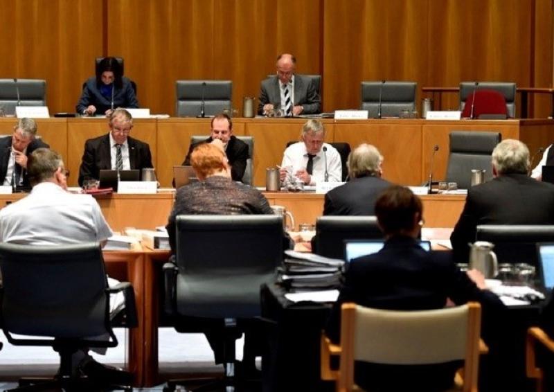 APS officials sitting at the witness table before a Senate Legislation Committee at an Estimates hearing. Supporting officers are sat in the audience behind officials. Senators are sat opposite the officials, asking questions of officials.