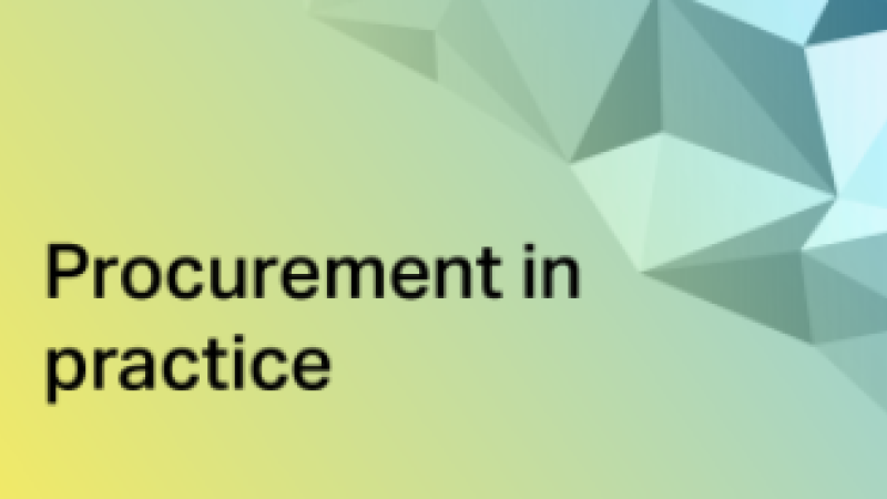 Light green image containing the text 'Procurement in Practice'.