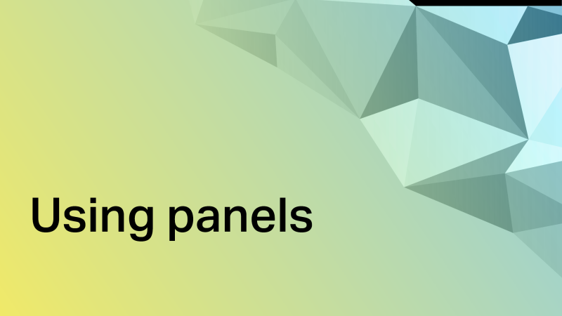 Department of Finance Using Panels Thumbnail