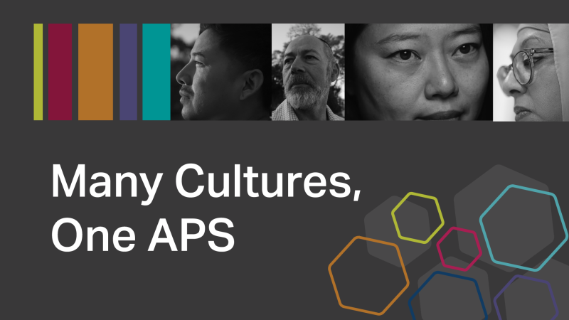Many cultures, One APS thumbnail