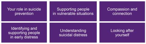 Six boxes with names of each module inside. Your role in Suicide prevention, Supporting people in vulnerable situations, Compassion and connection, Identifying and supporting people in early distress, Understanding suicidal distress and Looking after yourself.