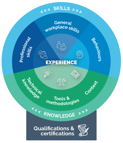 Diagram of a coloured wheel outlining skills and knowledge categories