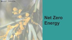 Teal background with wattle tree branch and text, Net Zero Energy