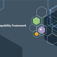 Grey branded box with the words Data Capability Framework