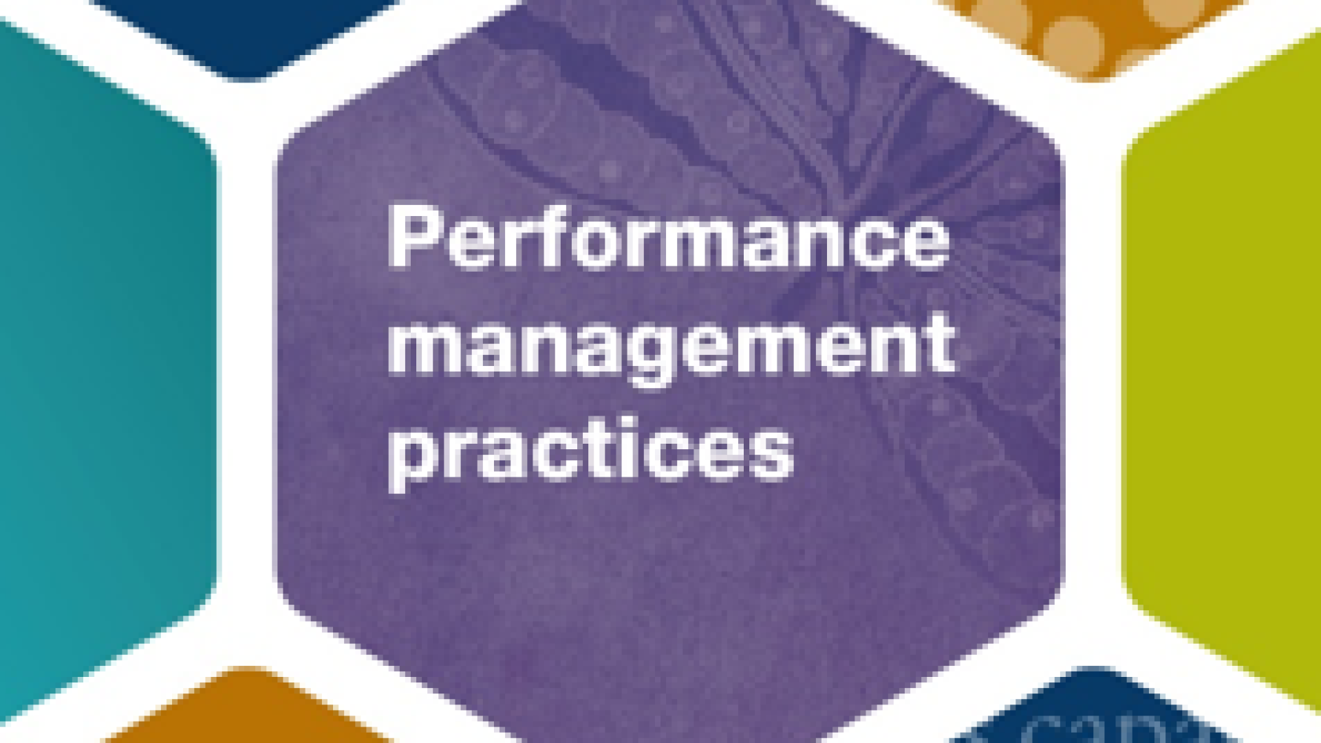 Performance Management Decorative Image
