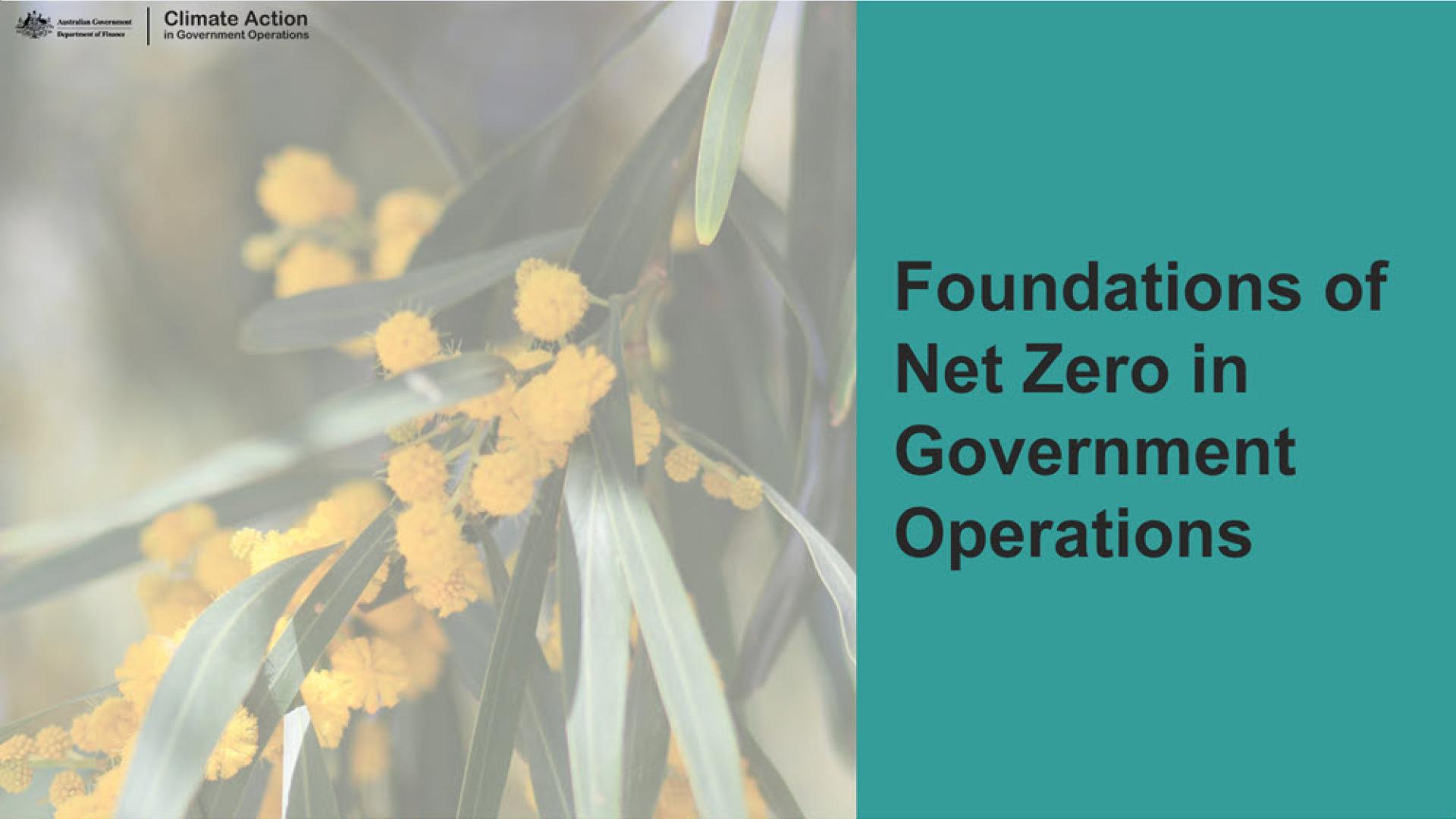 Net Zero in government course cover art