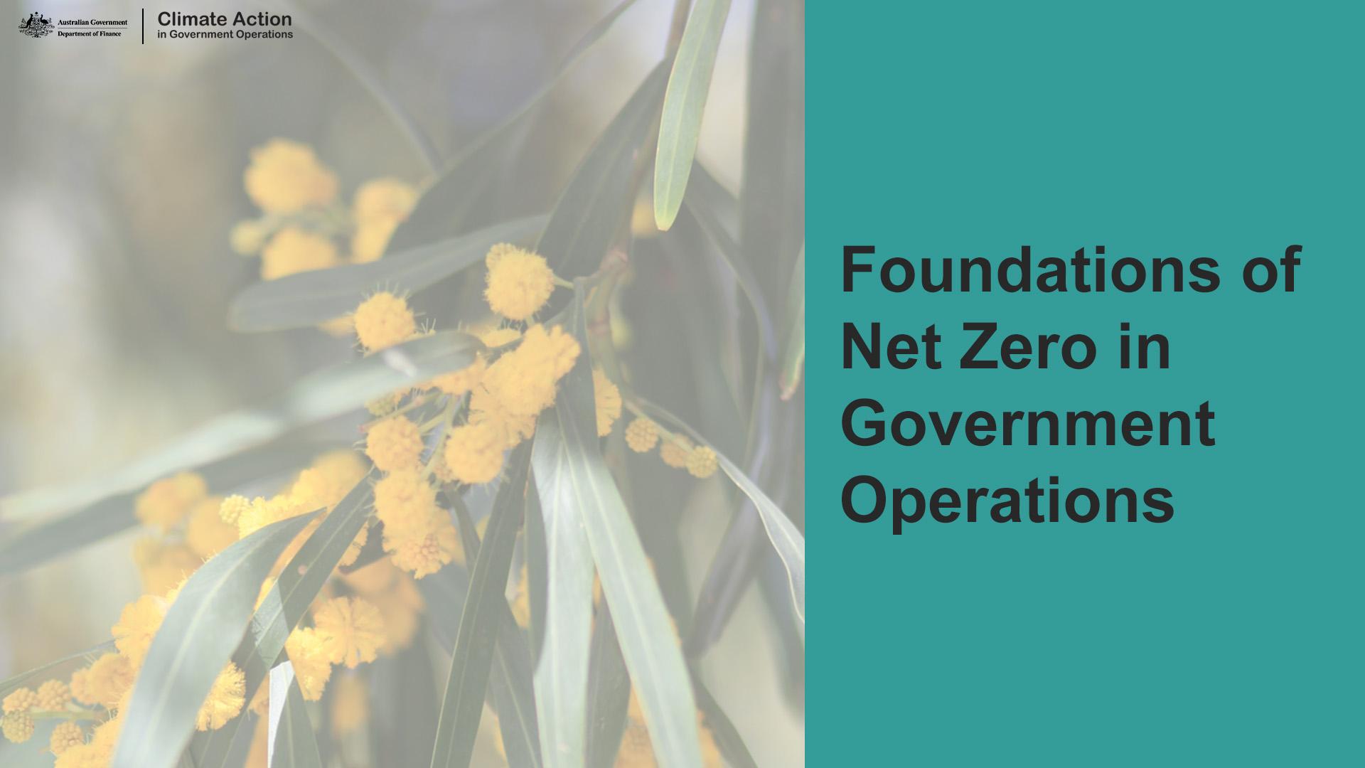 Net Zero in government course cover art