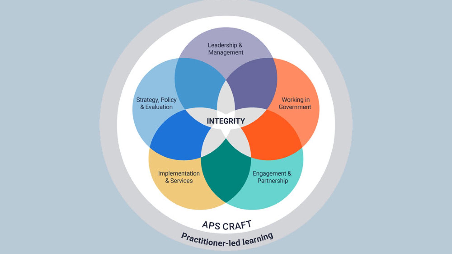 APS Academy Craft Wheel