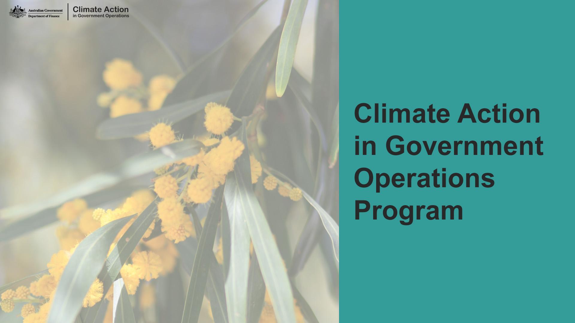 Aqua background with picture of a wattle branch and test, Climate Action in Government Operations Program