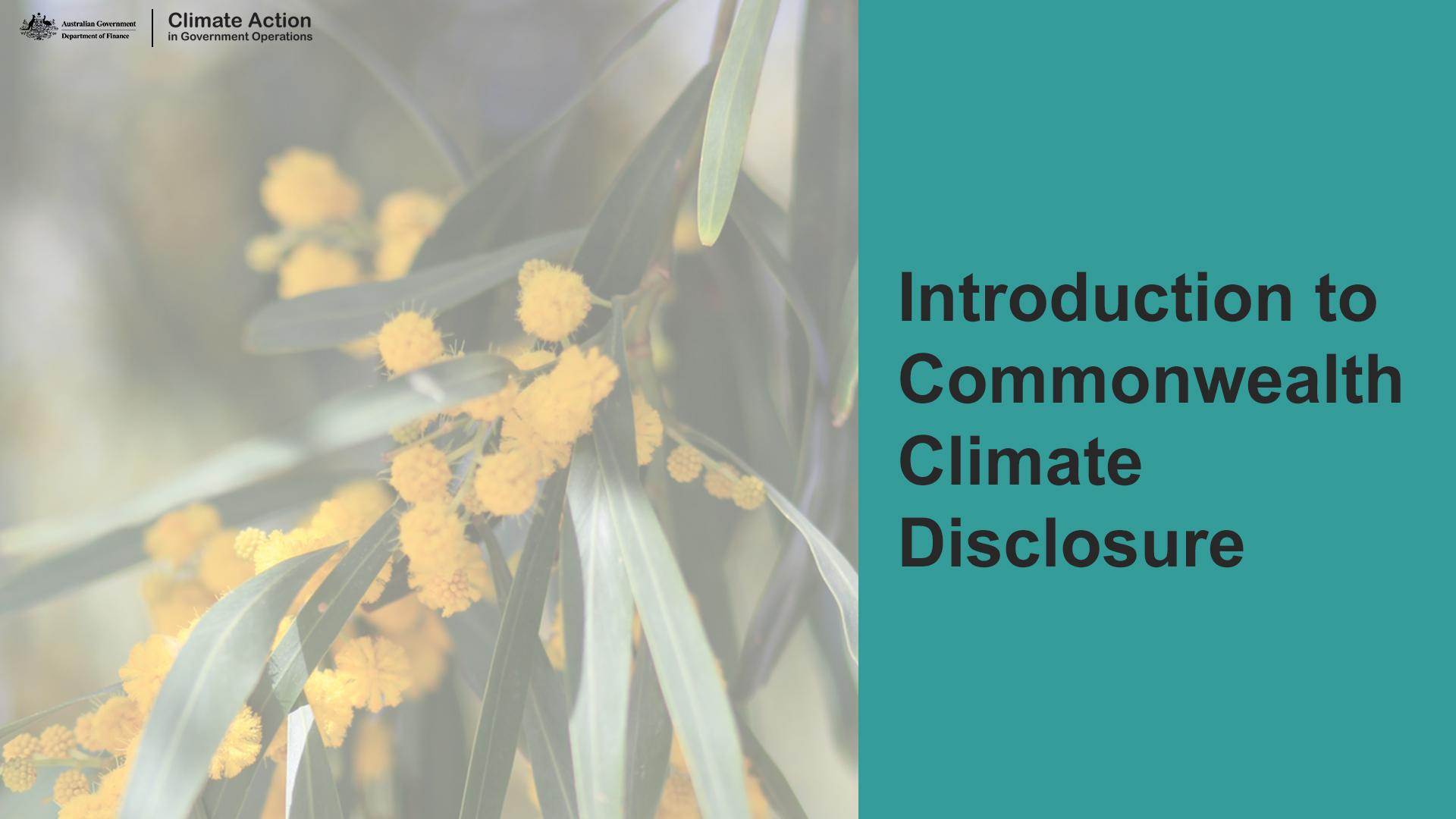 Teal background with wattle branch and text, Introduction to Commonwealth Climate Disclosure