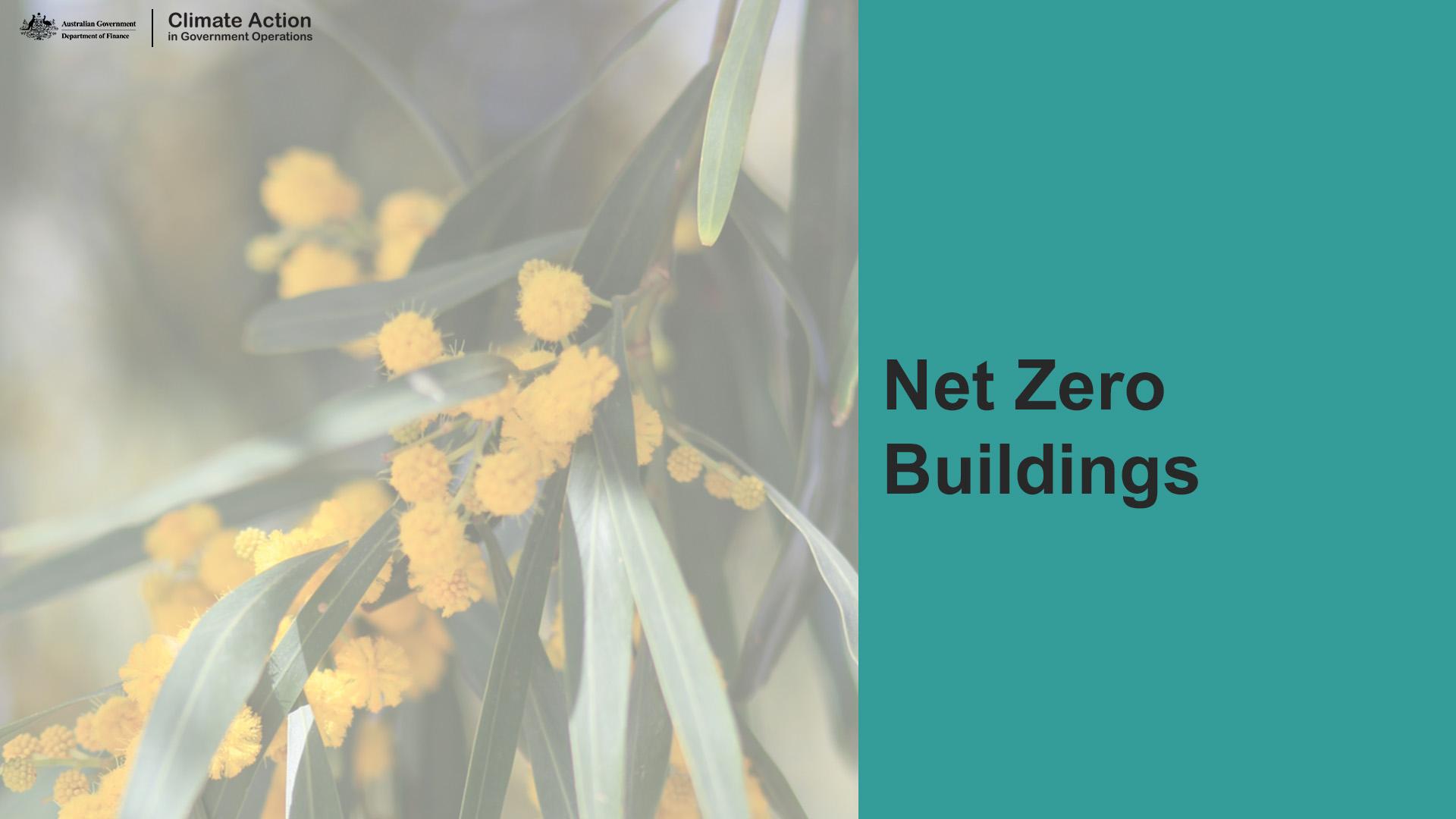 Aqua background with wattle branch and text, Net Zero Buildings