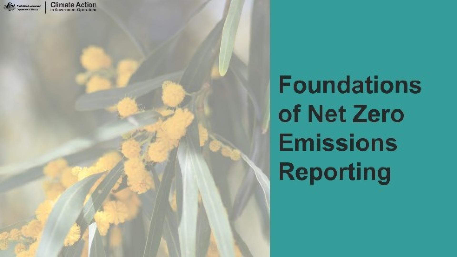 Teal background with wattle branch and text, Foundations of Net Zero Emissions Reporting