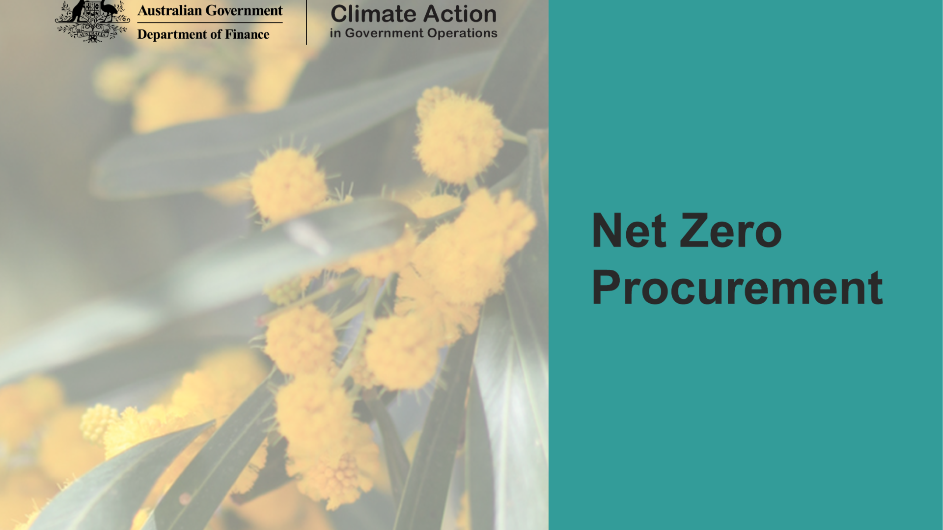 Department of Finance Net Zero Procurement thumbnail image