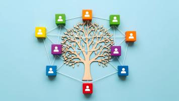 Illustration of a connected learning and knowledge-sharing network. A tree sits at the centre, surrounded by coloured user icons linked by white lines to each other and the tree. The interconnected design represents collaboration, mentoring, professional networks, knowledge exchange and capability development.